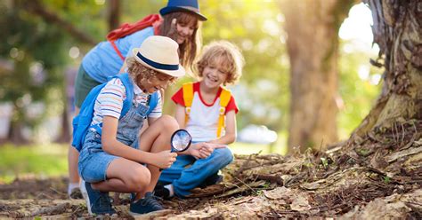 Adventure Education 的图像结果