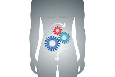 How To Boost Your Immune System Using Water?