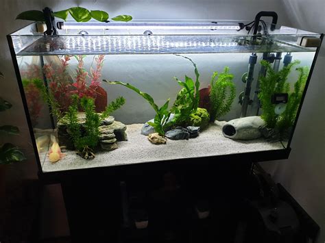 A Simple Guide For Setting Up Of A 37 Gallon Aquarium - Fishxperts