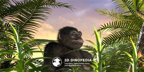 Image result for Australopithecus Simulation
