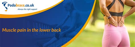 Image result for Lower Back Muscle Pain