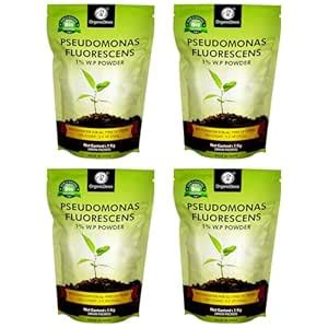 OrganicDews Pseudomonas Fluorescens Powder(2x10^8 CFU/g) (4 kg) for ...
