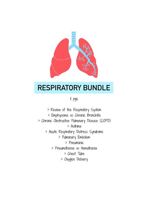 Respiratory System - Lung Health | Respiratory Health