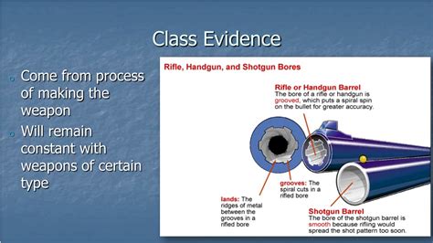 PPT - Forensic Firearm Identification, Ballistics, and Tool Marks PowerPoint Presentation - ID ...