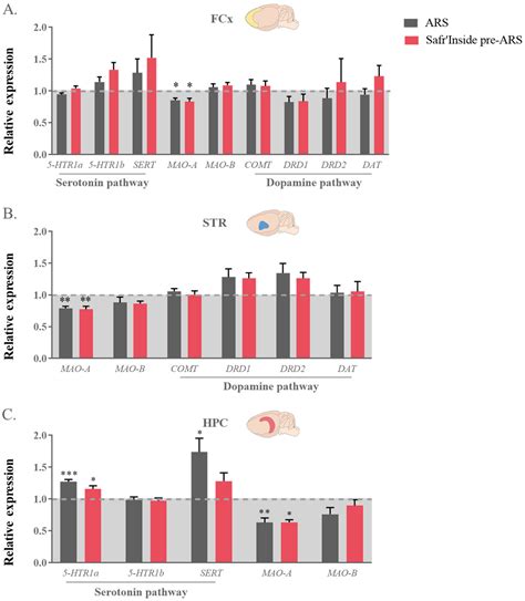 Prevention of Stress-Induced Depressive-like Behavior by Saffron ...