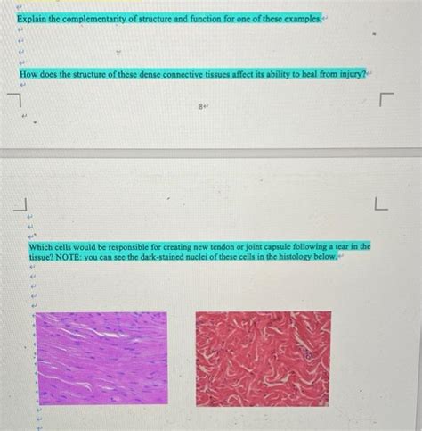 Image result for Complementarity of Structure and Function