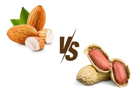 Understanding the Nutritional Value