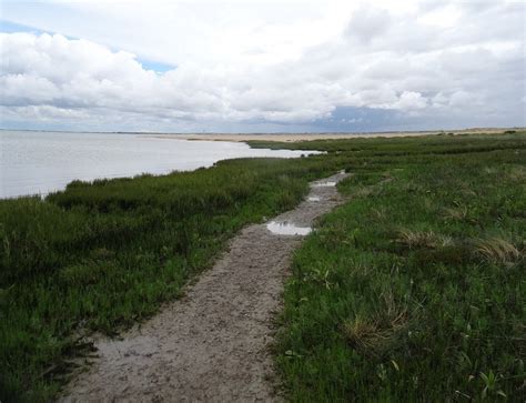 RÉSERVE NATURELLE NATIONALE DE LA BAIE DE L’AIGUILLON (2025) All You ...