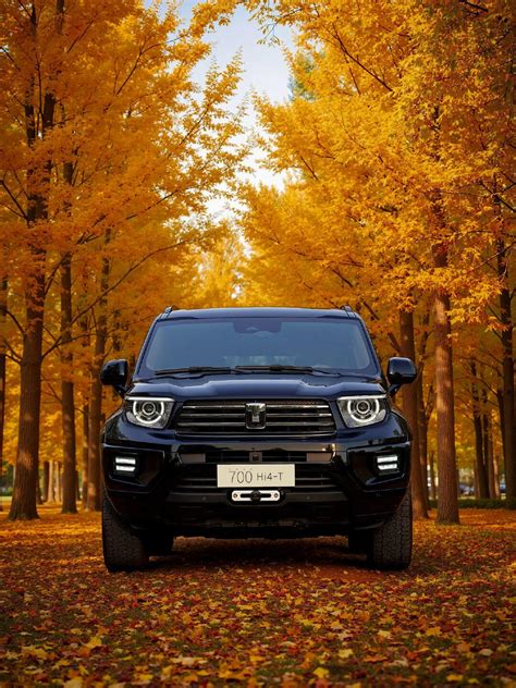 坦克700,今年8月份新车已完成工信部申报，预计年底正式上市。作为参考，目前在售_坦克700社区_易车社区