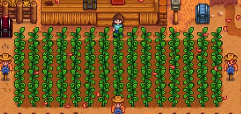 Rancher vs Tiller Stardew Valley - SDew HQ