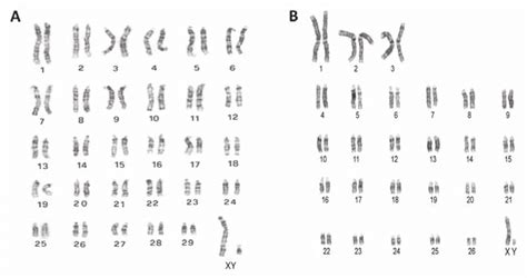 Image result for Research Code Sheet Example