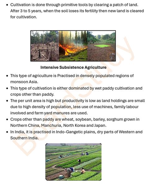 Image result for Primary Activities Class 12 Notes