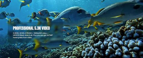 GoPro Hero13 Creator Edition Includes Hero13 Action Camera, 27 MP with ...