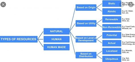 make a flowchart of classification of natural resoures - Brainly.in