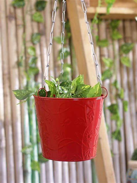 Hanging Bucket Red– Exotic Flora