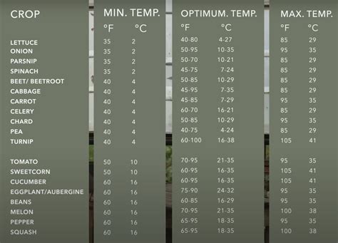 How to Germinate Seeds: Vegetable Seed Germination Temperature Chart | Almanac.com