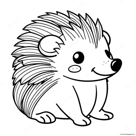 Hedgehog Coloring Page (65423-51774)