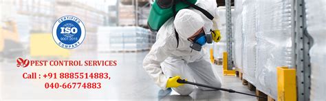 Best Pest Control Services Hyderabad - 999 Pest Control Services | Call ...