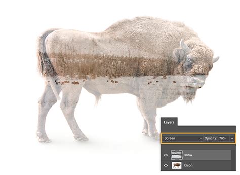 Make a double exposure