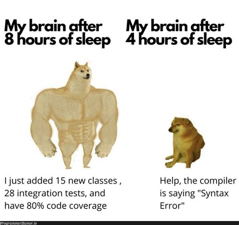 Image result for Programmer Problem No Sleep Meme