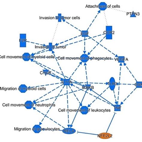 Image result for IPA Analysis Tutorial