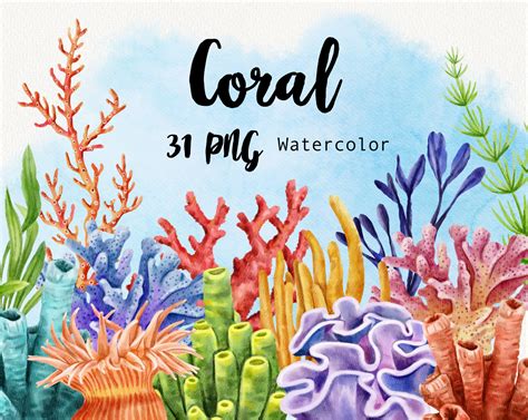 Watercolor Coral Reef Clipart Under the Sea Life Clip Art - Etsy Finland