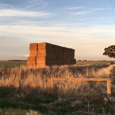DIMBOOLA NATIVE FAUNA AND FLORA RESERVE (2025) All You Need to Know ...