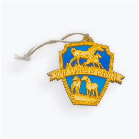 Corolla Wild Horses | Corolla Wild Horse Fund - Official Site • Corolla, NC