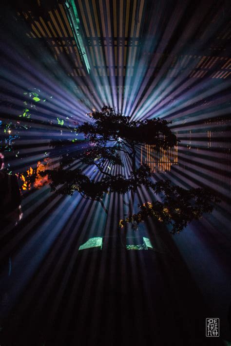 Rust Set Up Auto Lighting 的图像结果