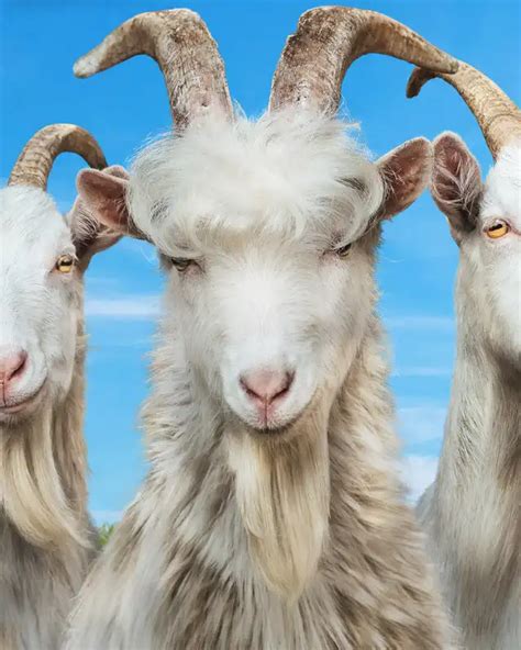 Goat Simulator Pokemon Mod 的图像结果