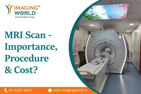 MRI Scan – Importance, Procedure & Cost? - Imaging World