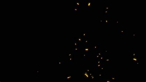 Image result for Fire Particles After Effects