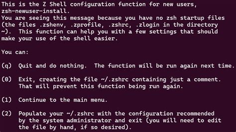 WSL2 Windows 1.0 Zsh 的图像结果