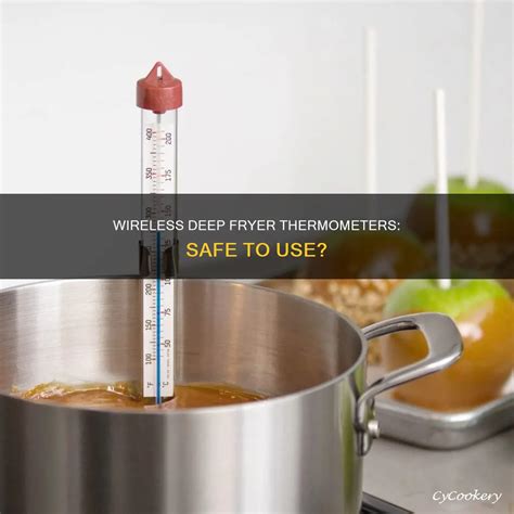 Wireless Deep Fryer Thermometers: Safe To Use? | CyCookery