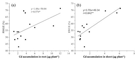 Profiling of Water-Use Efficiency in Switchgrass (Panicum virgatum L ...