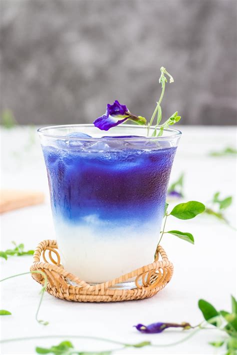 Butterfly pea flower tea plant magic – Artofit