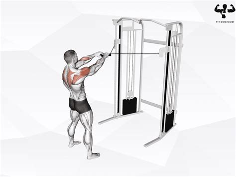 10 Functional Trainer Exercises For Strength (With Free PDF) | FitDominium
