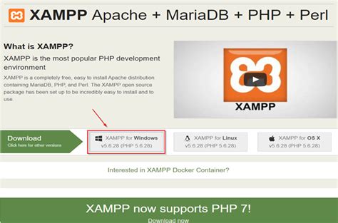 Image result for Xamp Shell