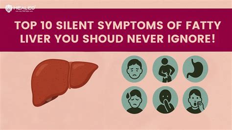 Top 10 Fatty Liver Symptoms in Males & Females (2025 Guide) | Healeo ...