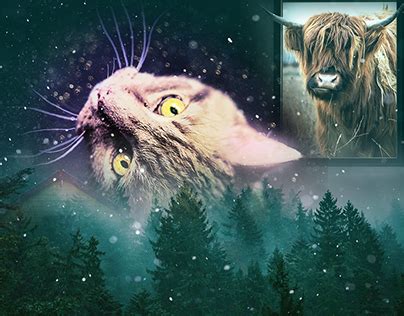 Compositing Effect Example 的图像结果