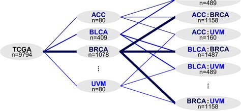 Flowchart TCGA 的图像结果