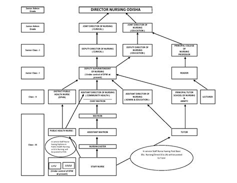 Organogram | Directorate of Nursing