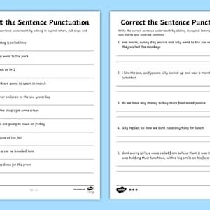 Correct the Sentence Punctuation Worksheet