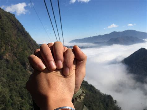 Image result for Catch Cook Clean Turtle