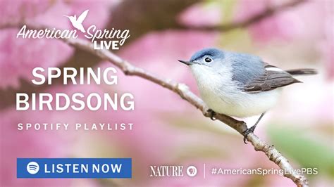 Image result for Sound of Spring