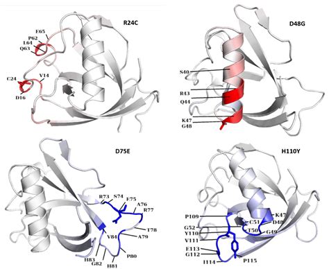 Emerging Mutations in Nsp1 of SARS-CoV-2 and Their Effect on the ...