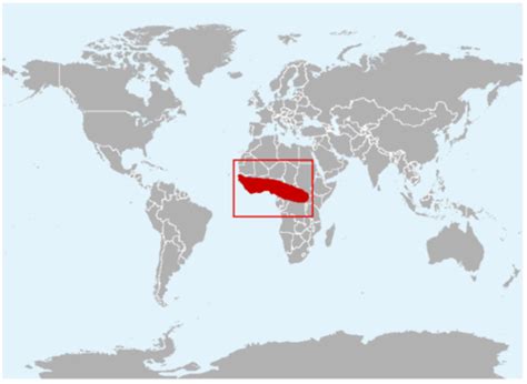 Image result for Ball Python Range Map