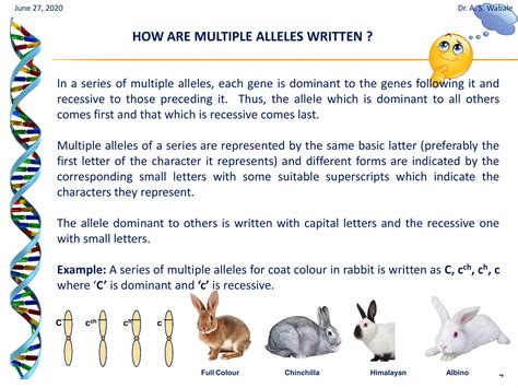 Multiple alleles | PDF