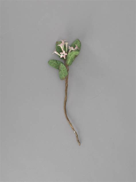 Metal sculpture, Massachusetts state flower - Mayflower / Trailing ...