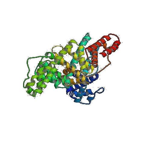蛋白质结构解析六十年 - 生物研究专区 - 生物谷